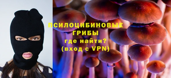 дживик Зеленокумск