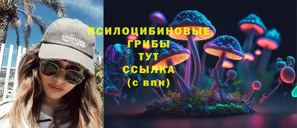 PSILOCYBIN Зерноград